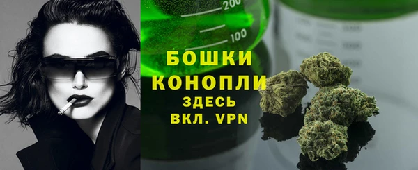 спиды Алексеевка
